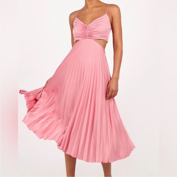 Petal & Pup Dresses & Skirts - Petal & Pup Niamh Midi Dress Pleated in Poppy Pink
